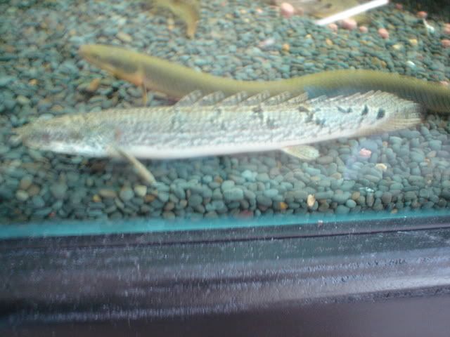 DSC09024.jpg