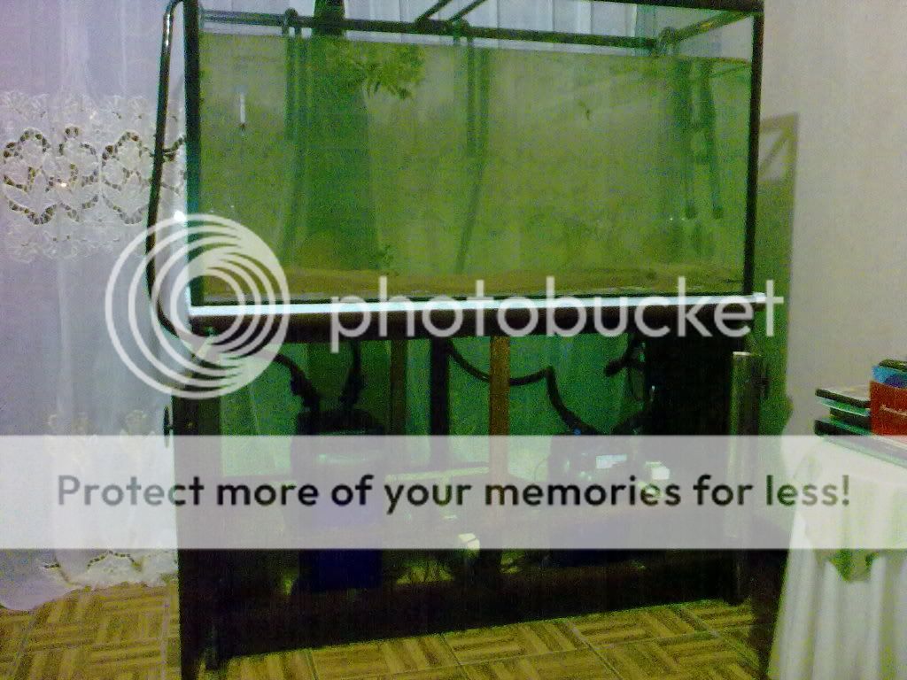 28052009074.jpg