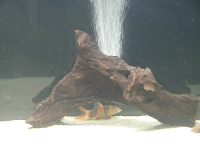 DSCN1313.jpg