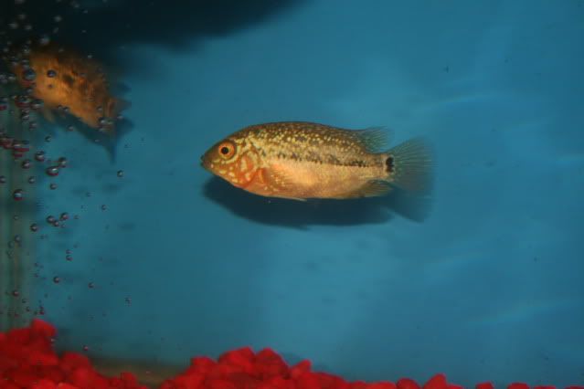 0094-5.jpg