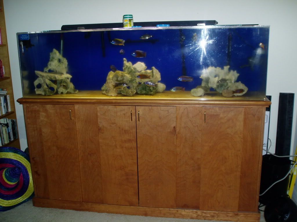 100G008.jpg