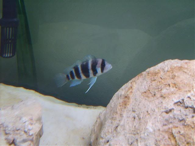 S5000037.jpg