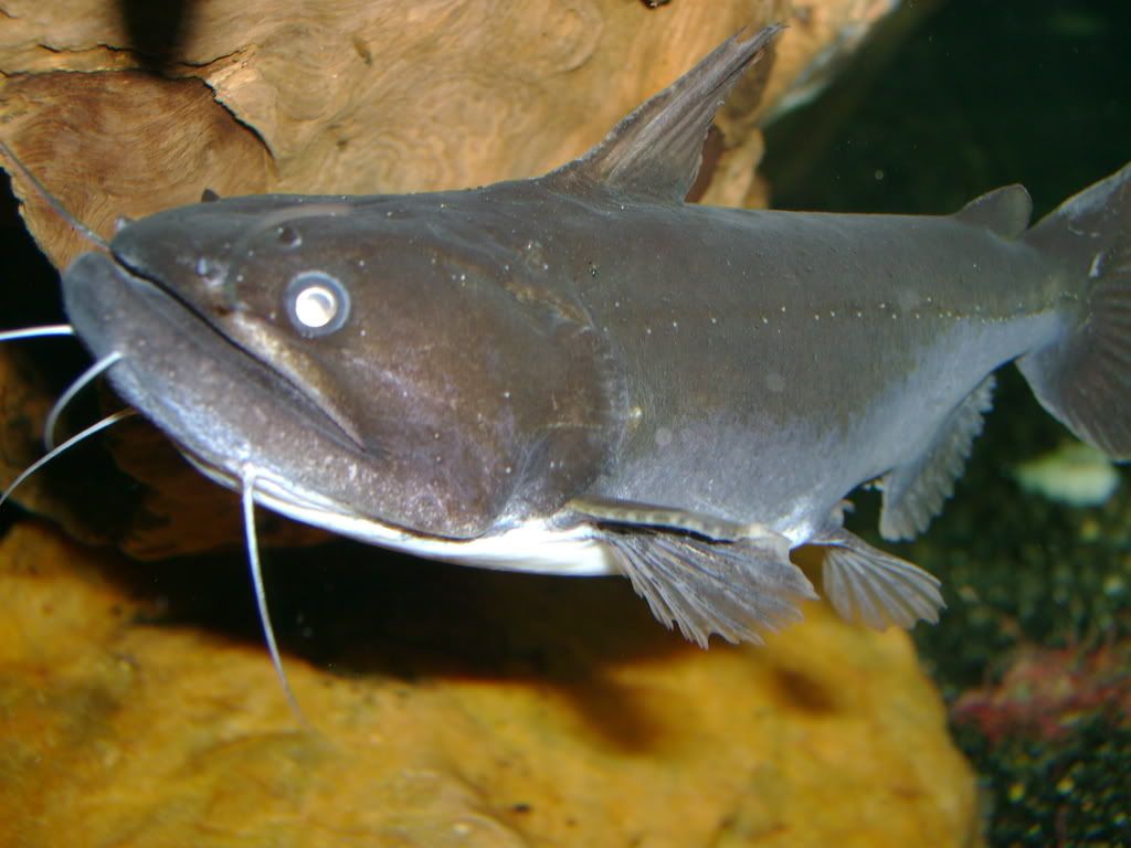 DSC02148.jpg