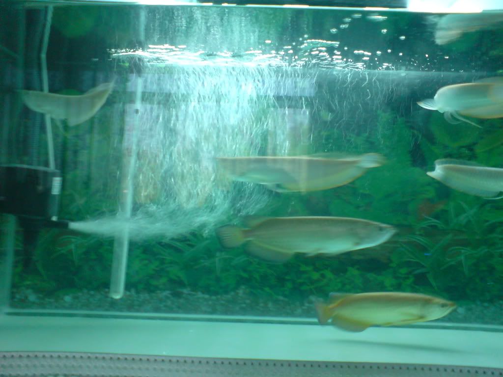 DSC00209.jpg