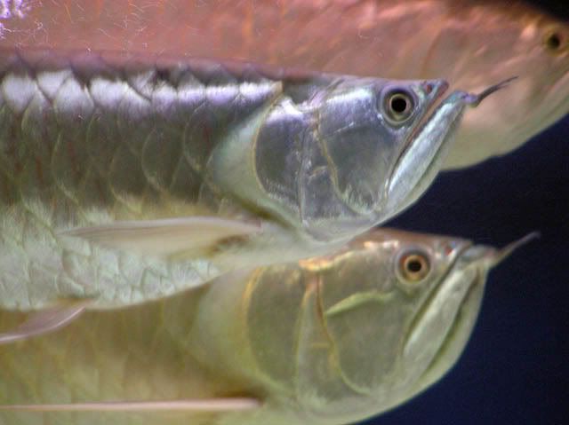 P9230094.jpg