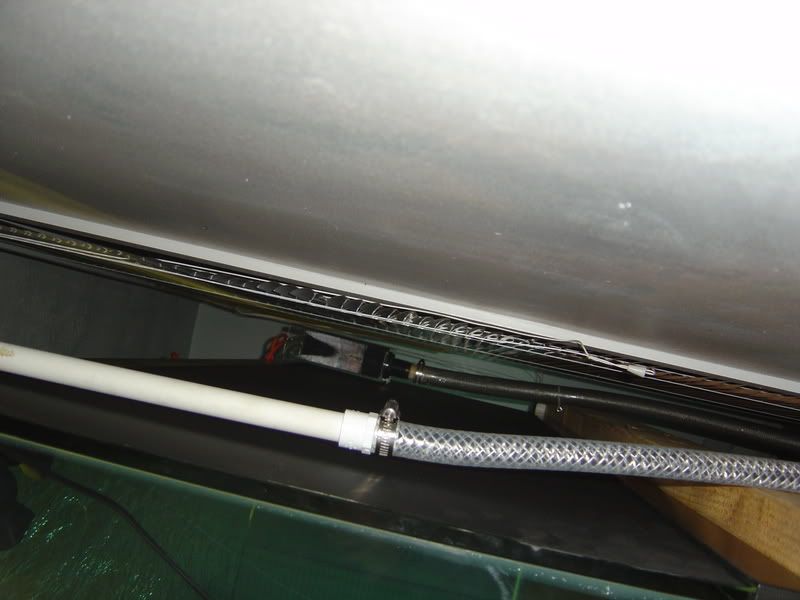 4-28-08020.jpg