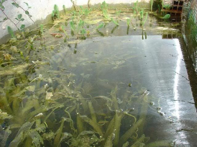 DSC03841.jpg