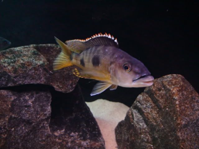 DSC01571.jpg