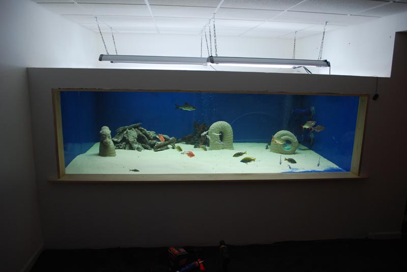 DSC_0230.JPG