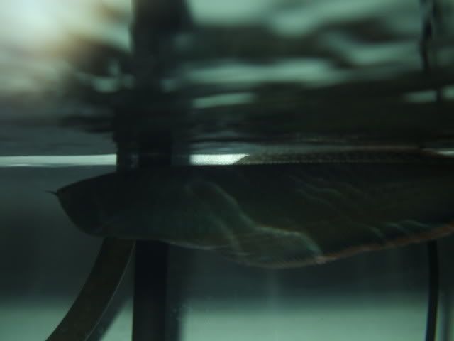 DSCF1900.jpg