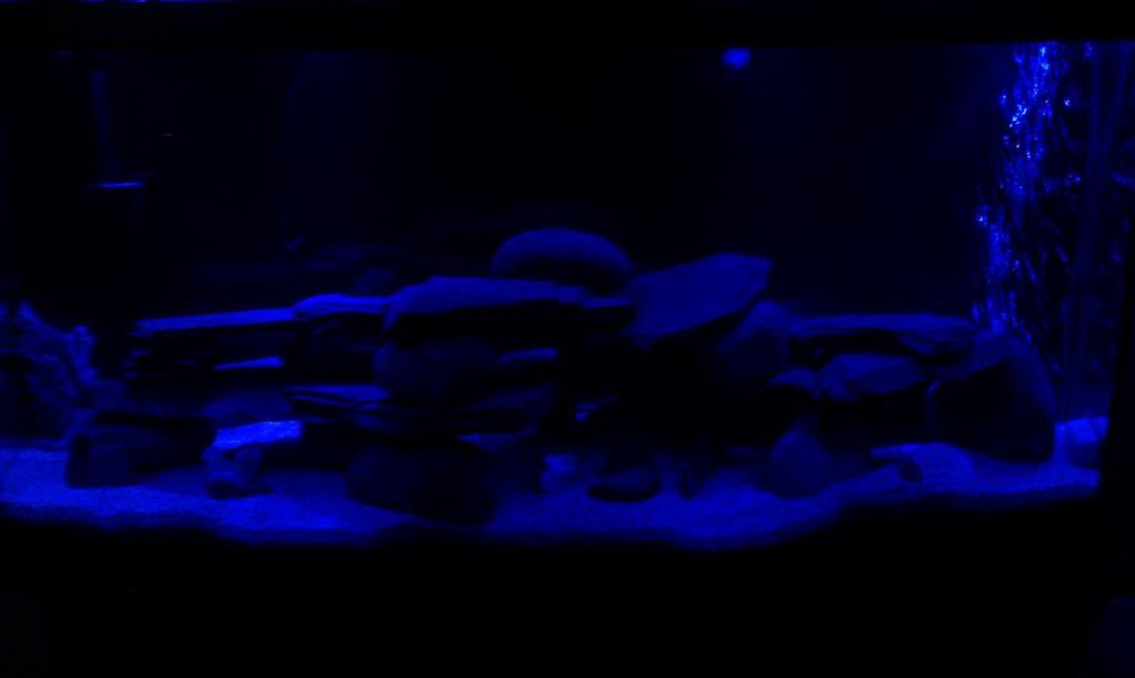 IMAG0296.jpg
