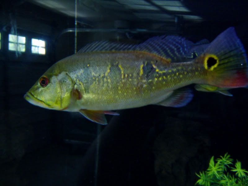DSC07439.jpg