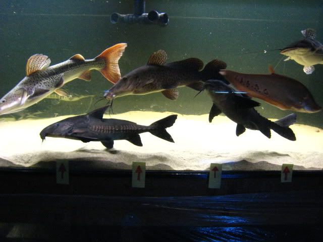 IMG_7283.jpg