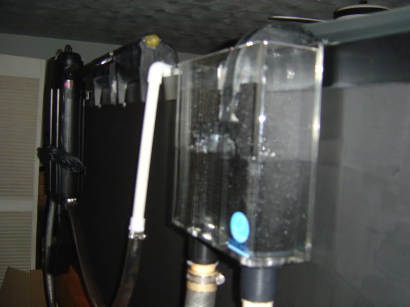 4-28-08019.jpg