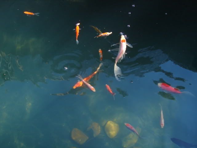 DSC05571.jpg