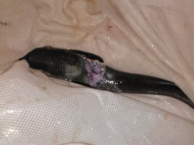CAM00193.jpg