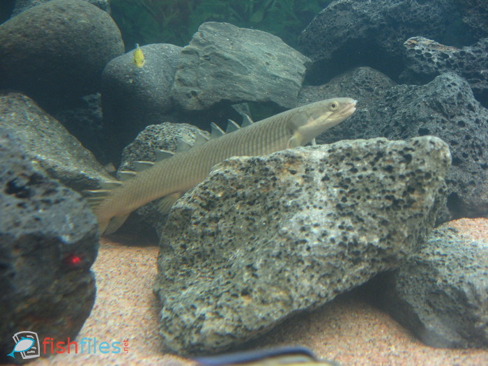 1dbt3ub2_Picture_249.jpg