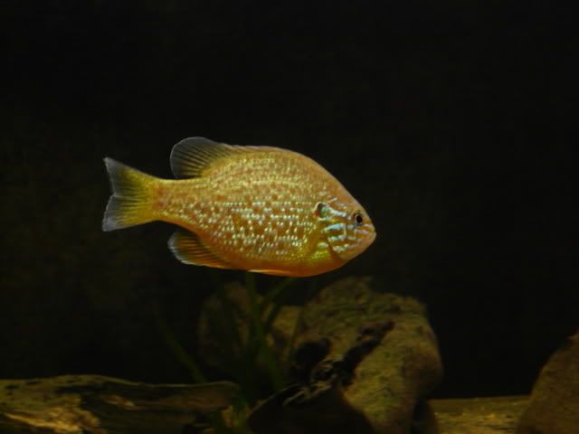 P1080287.jpg
