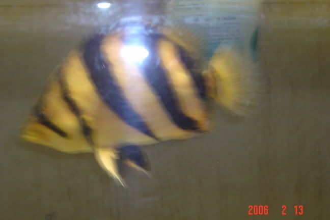 DSC03099.jpg