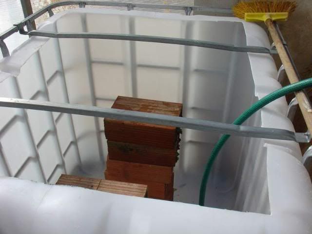 DSC04148.jpg