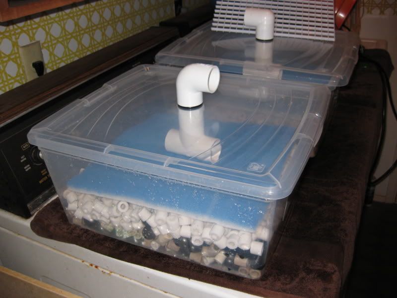 3-25-09007.jpg
