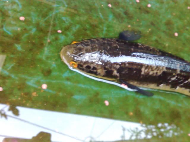 13102009669.jpg