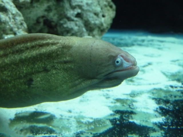P1010249.jpg