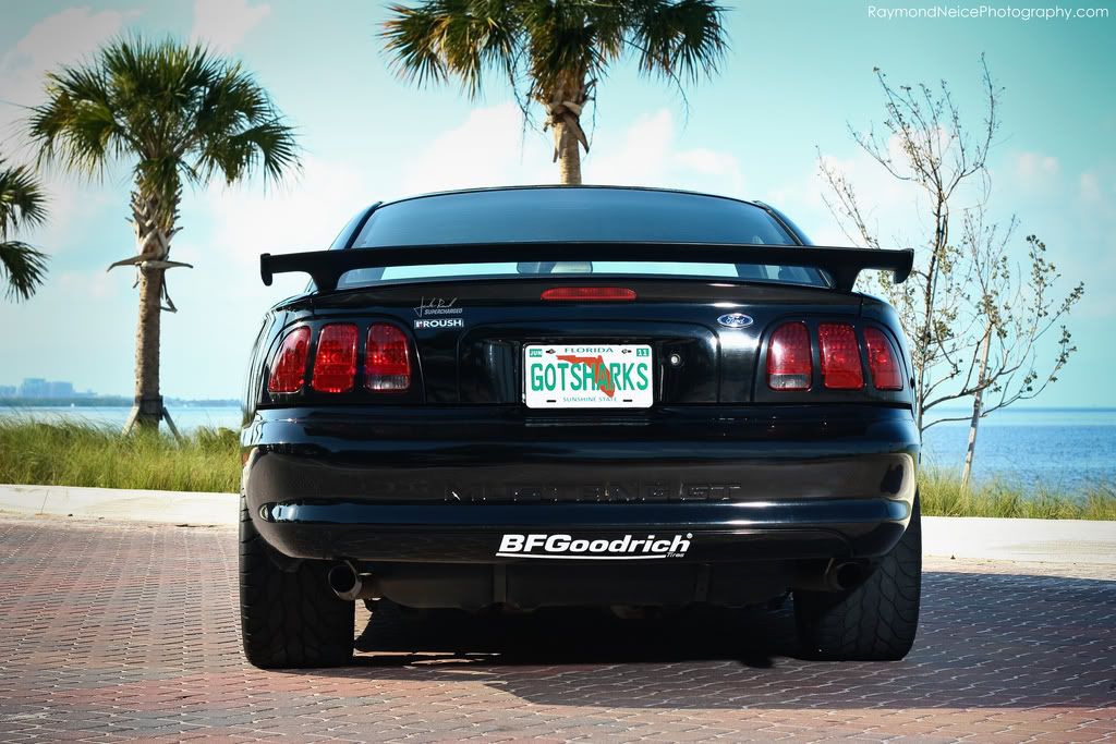 Roush8.jpg