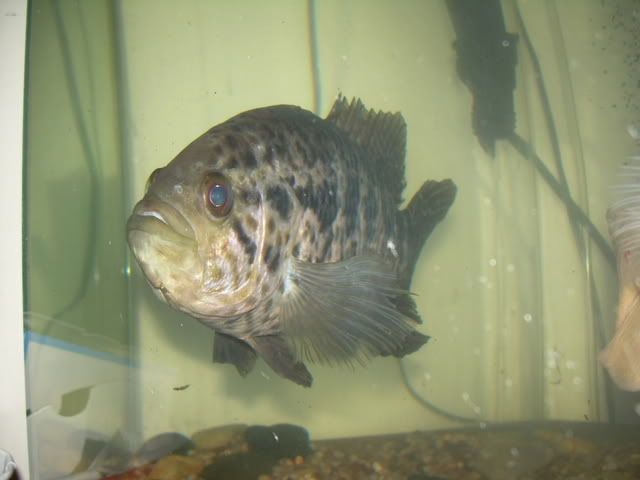 DSCN1282.jpg