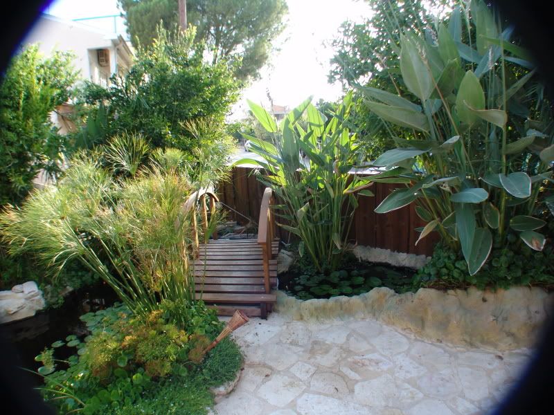 DSC00622.jpg