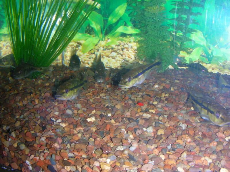 DSCN1537.jpg