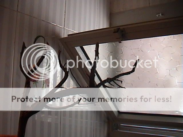 DSC00008-1.jpg