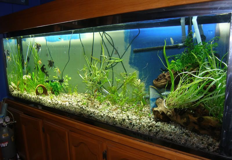120rescape17.jpg