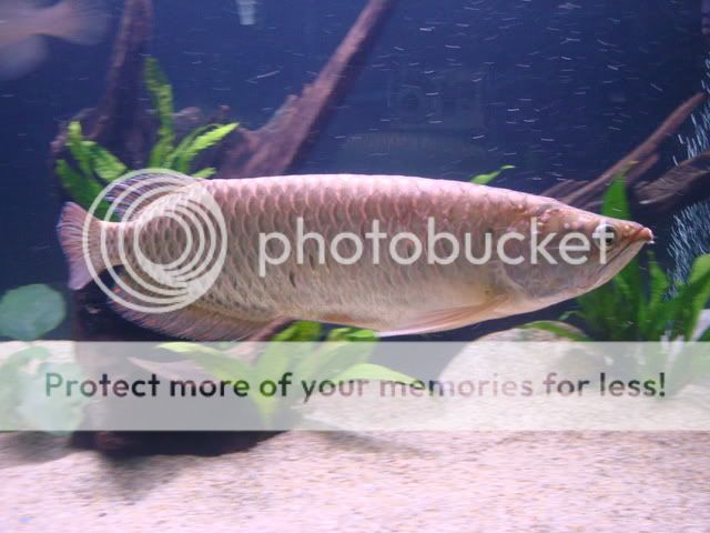 DSC04564.jpg