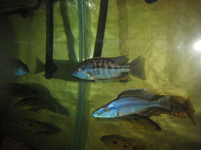 IMG_7909.jpg