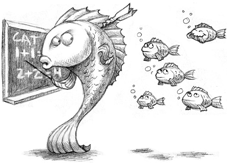 school-of-fish.jpg