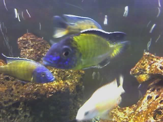 05-08-07_1626.jpg