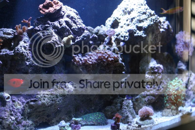 IMG_7161.jpg