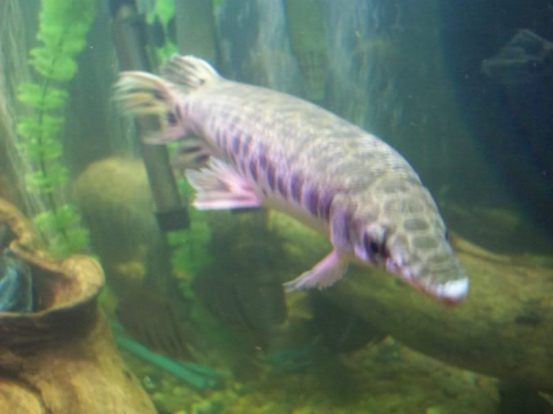 100_2975.jpg
