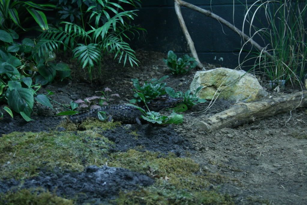 IMG_1795.jpg