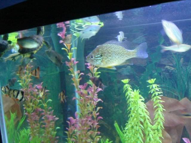 DSC01787.jpg