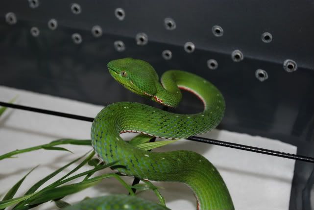 DSC_0377.jpg