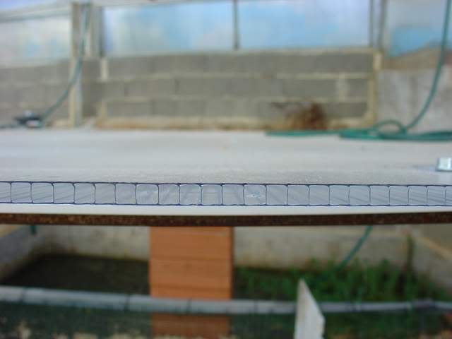 DSC04840.jpg