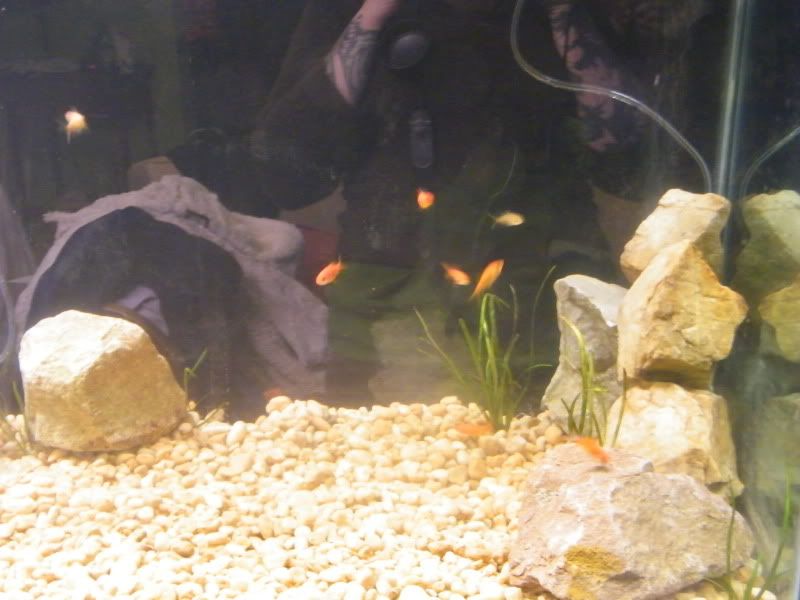 pics034.jpg
