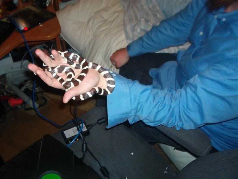 calibite005Medium.jpg