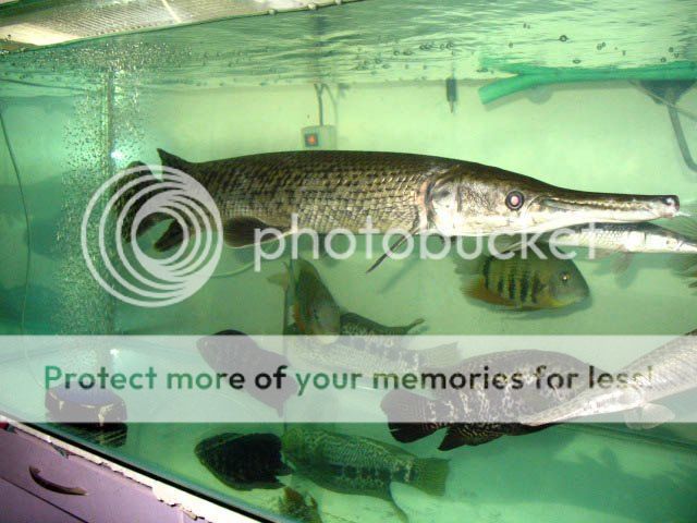 IMG_8768.jpg