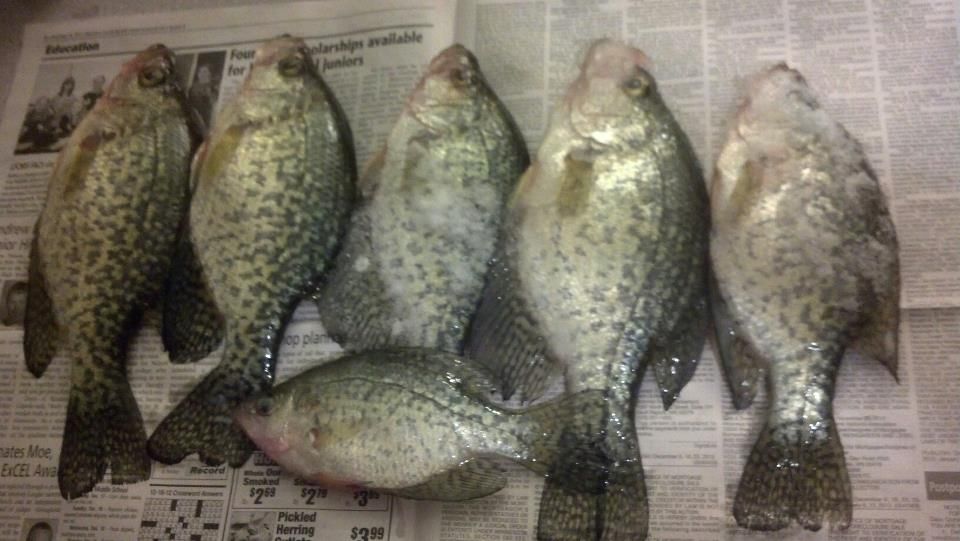 crappie2_zpsd76c90d0.jpg