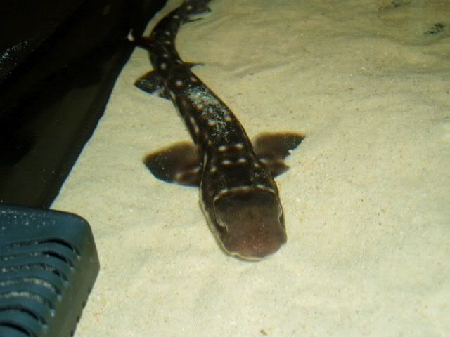 P1010037.jpg
