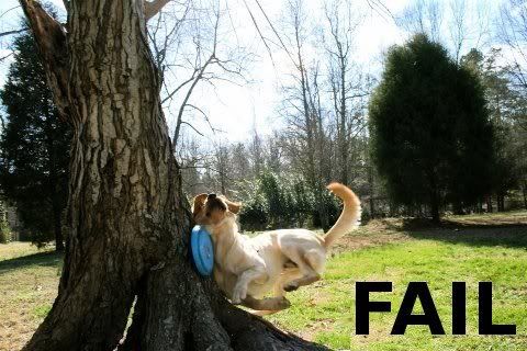 fail9.jpg