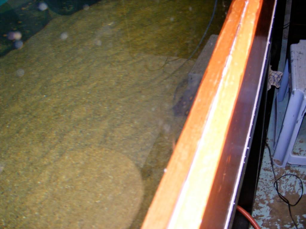 DSCF2683.jpg